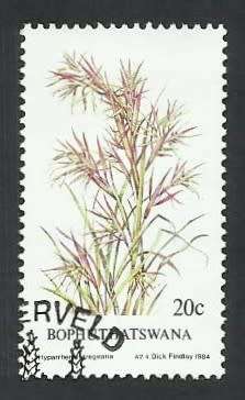1984 BOPHUTHATSWANA INDIGENOUS GRASS