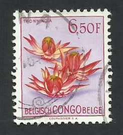 1952-53 BELGIAN CONGO FLOWERS