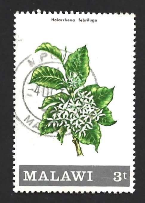 1971 MALAWI FLOWERING SHRUBS AND TREES