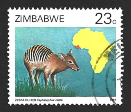 1987 ZIMBABWE DUIKERS OF AFRICA SURVEY