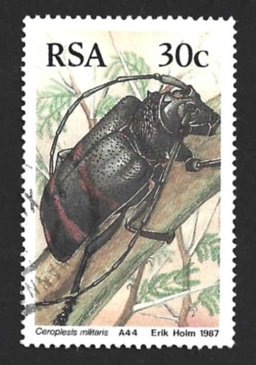 1987 SOUTH AFRICA BEETLES