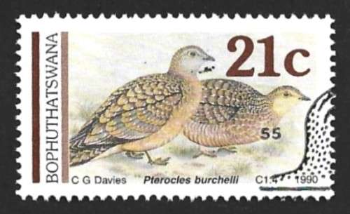 1990 BOPHUTHATSWANA SANDGROUSE