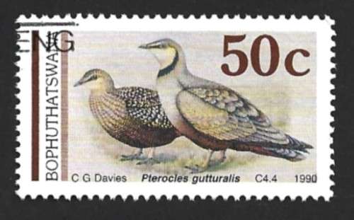 1990 BOPHUTHATSWANA SANDGROUSE