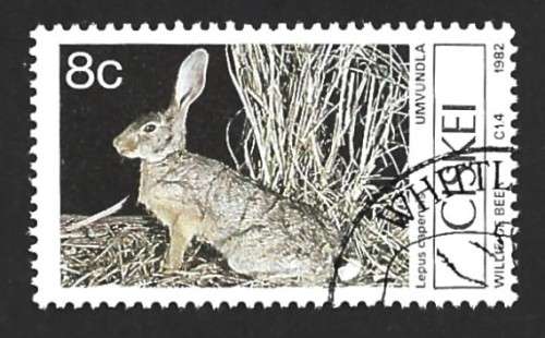 1982 CISKEI MAMMALS