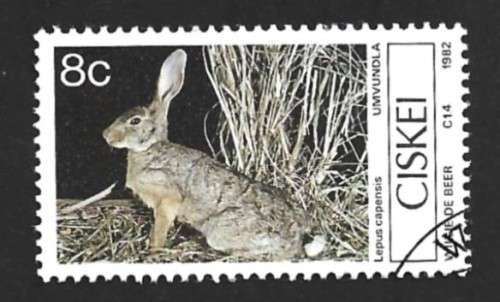 1982 CISKEI MAMMALS