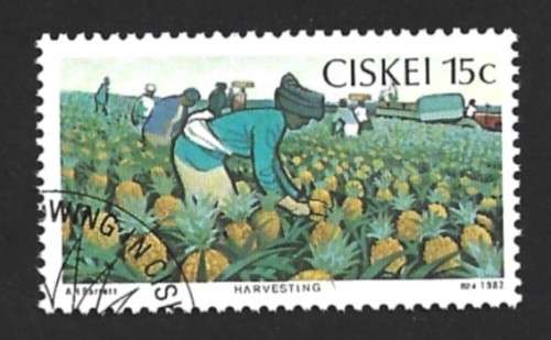 1982 CISKEI PINEAPPLE INDUSTRY