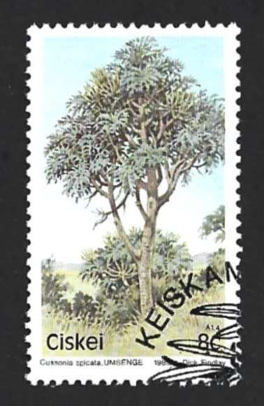 1983 CISKEI TREES