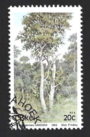 1983 CISKEI TREES