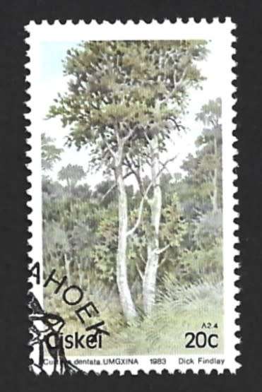 1983 CISKEI TREES