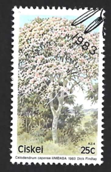 1983 CISKEI TREES