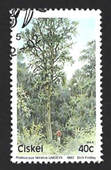 1983 CISKEI TREES