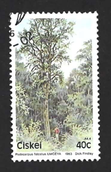 1983 CISKEI TREES
