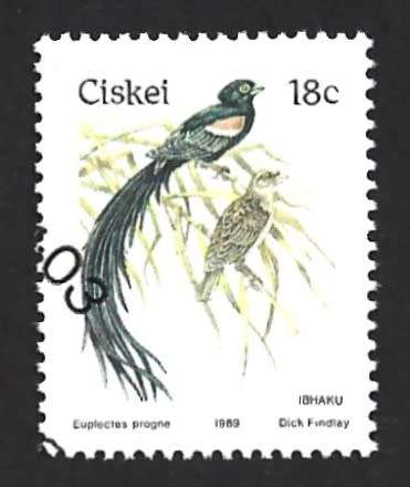 1989 CISKEI BIRDS