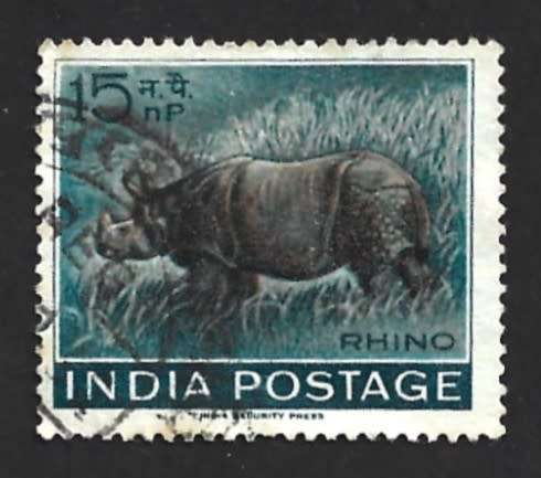1962 INDIA WILD LIFE