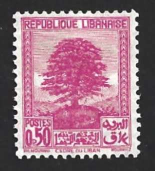 1937-40 LEBANON CEDAR