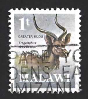 1971 MALAWI ANTELOPES