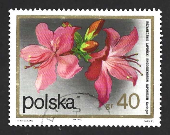 1972 POLAND FLOWERING SHRUBS