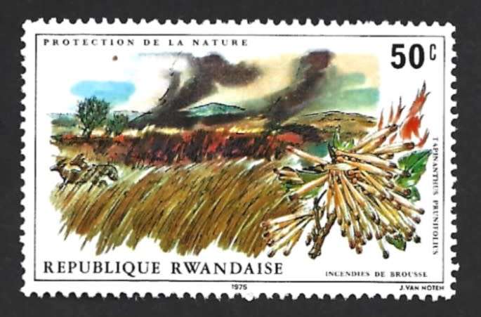 1975 RWANDA PROTECTION OF NATURE