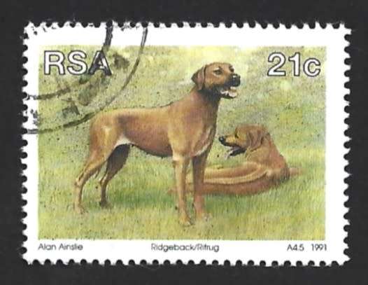 1991 SOUTH AFRICA ANIMAL BREEDING
