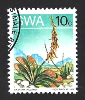 1973 SOUTH WEST AFRICA DESERT PLANT