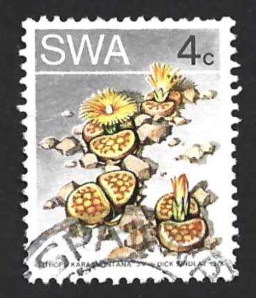 1973 SOUTH WEST AFRICA DESERT PLANT