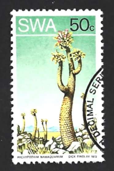 1973 SOUTH WEST AFRICA DESERT PLANT