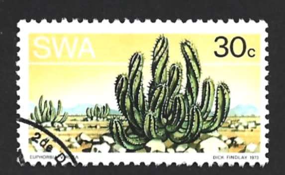 1973 SOUTH WEST AFRICA DESERT PLANT