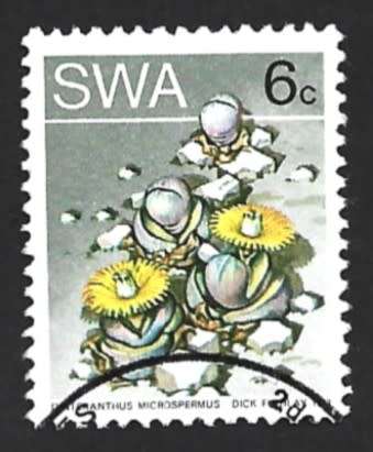 1973 SOUTH WEST AFRICA DESERT PLANT