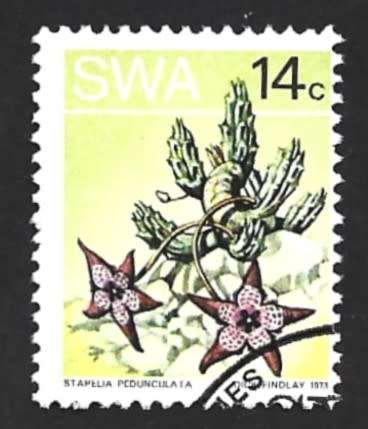 1973 SOUTH WEST AFRICA DESERT PLANT