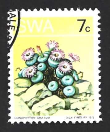 1973 SOUTH WEST AFRICA DESERT PLANT