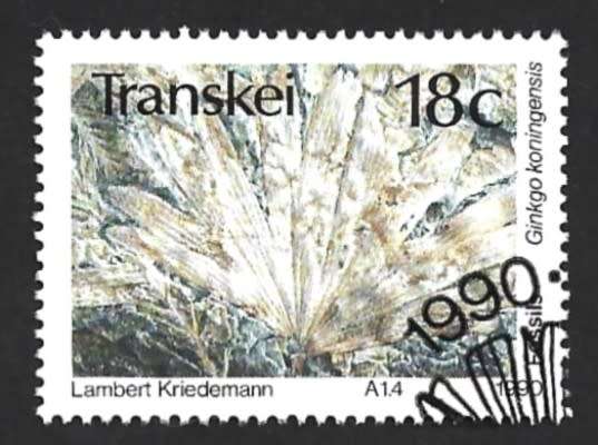 1990 TRANSKEI FOSSIL PLANT