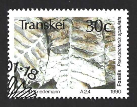 1990 TRANSKEI FOSSIL PLANT