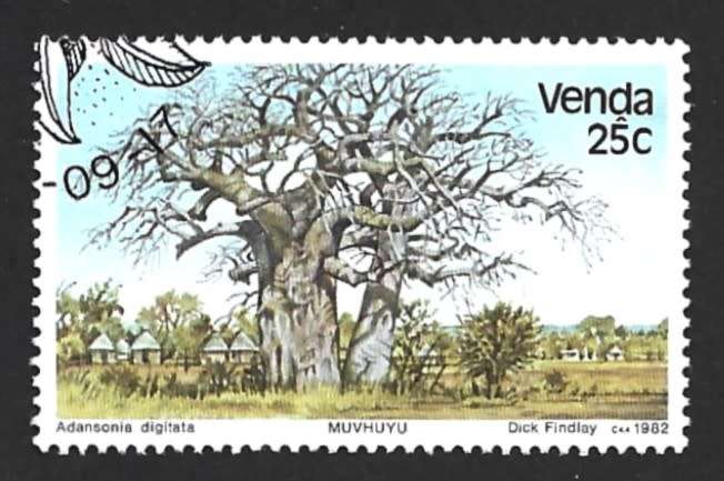 1982 VENDA TREES
