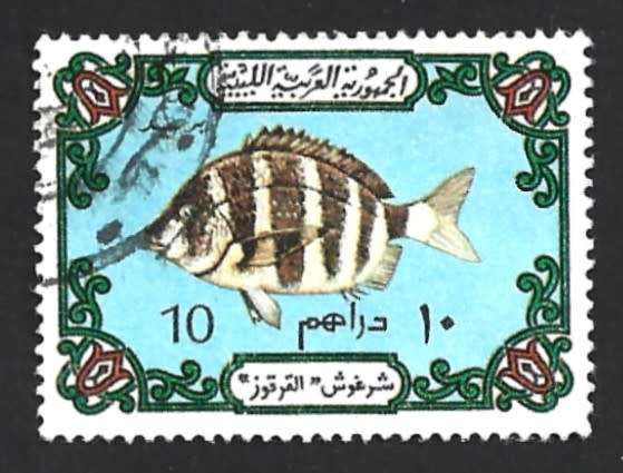 1973 LIBYA FISH