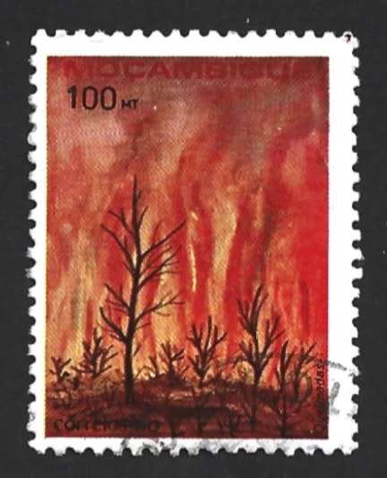 1990 MOZAMBIQUE ENVIRONMENTAL PROTECTION