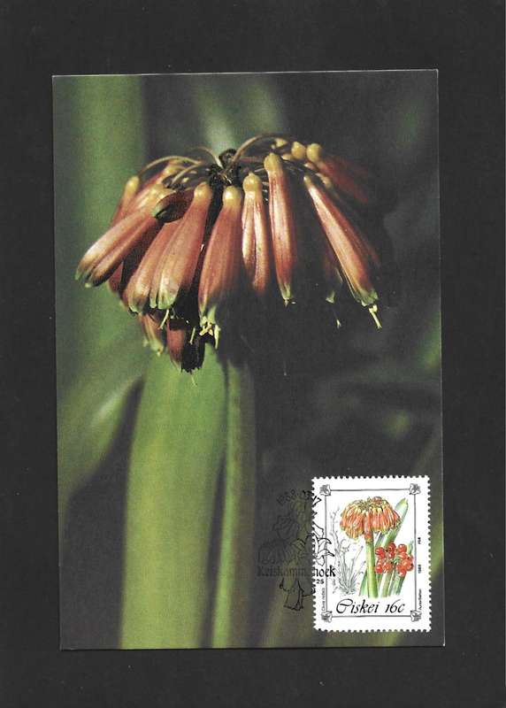 1988 CISKEI ENDANGERED AND PROTECTED PLANT SPECIES