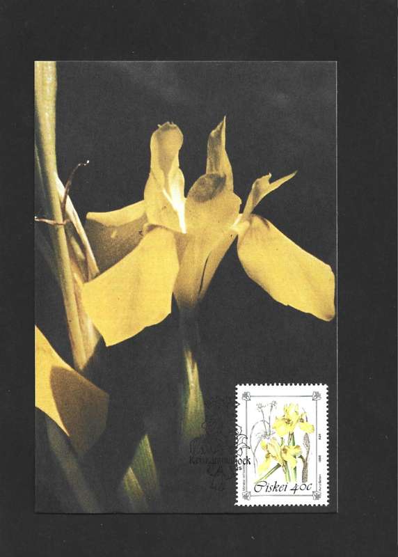 1988 CISKEI ENDANGERED AND PROTECTED PLANT SPECIES