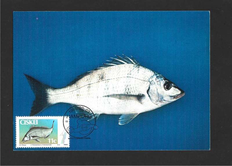 1985 CISKEI FISH