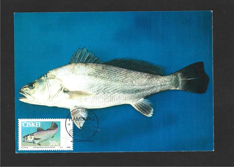 1985 CISKEI FISH