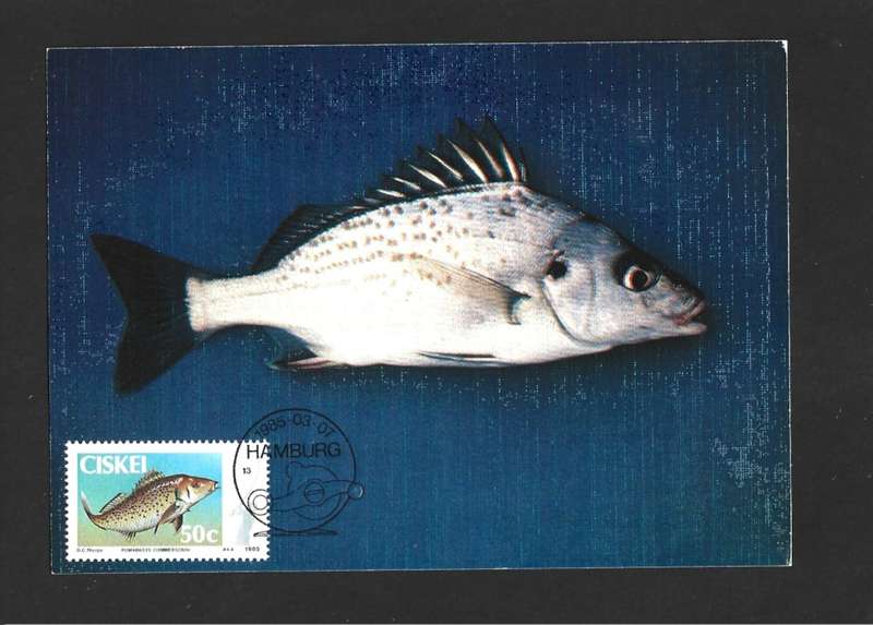 1985 CISKEI FISH