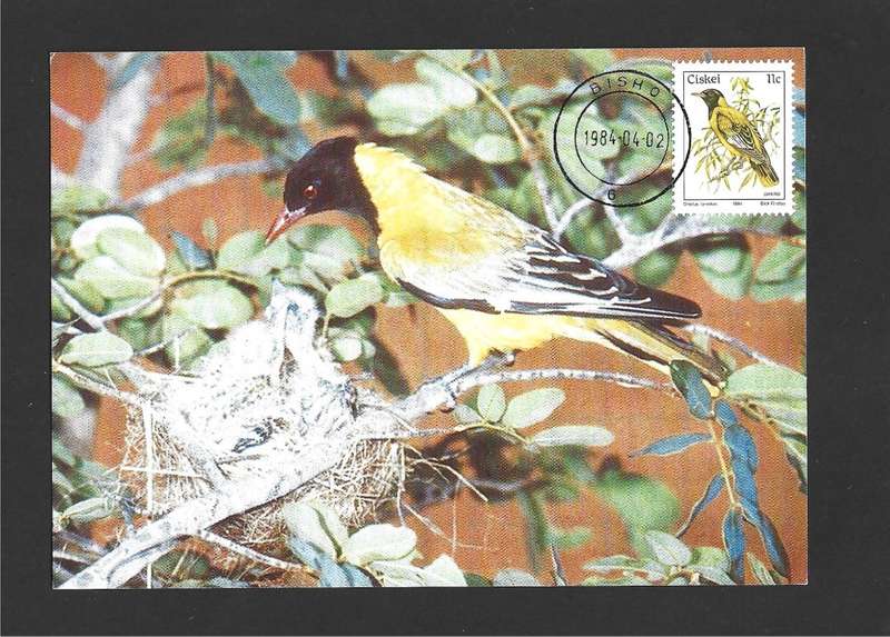 1984 CISKEI BIRDS