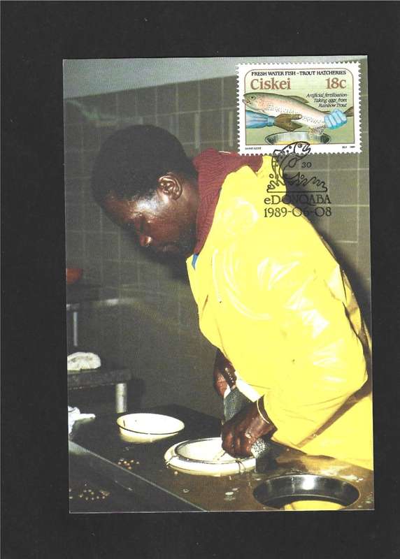 1989 CISKEI TROUT HATCHERIES