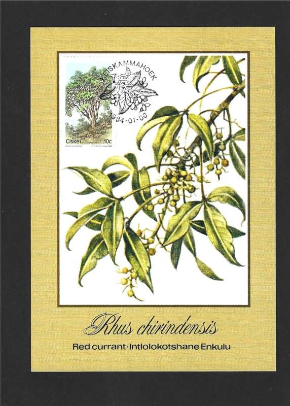 1984 CISKEI TREES