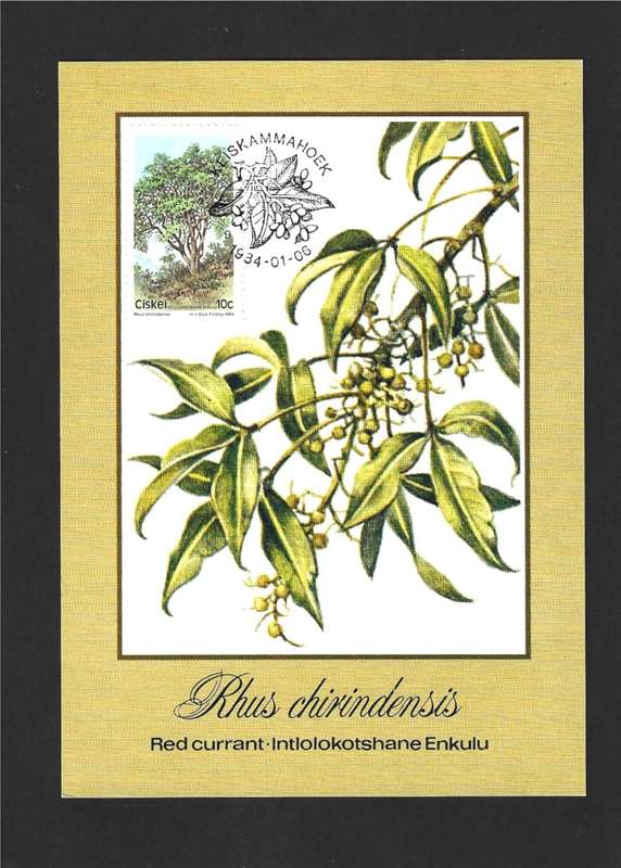 1984 CISKEI TREES