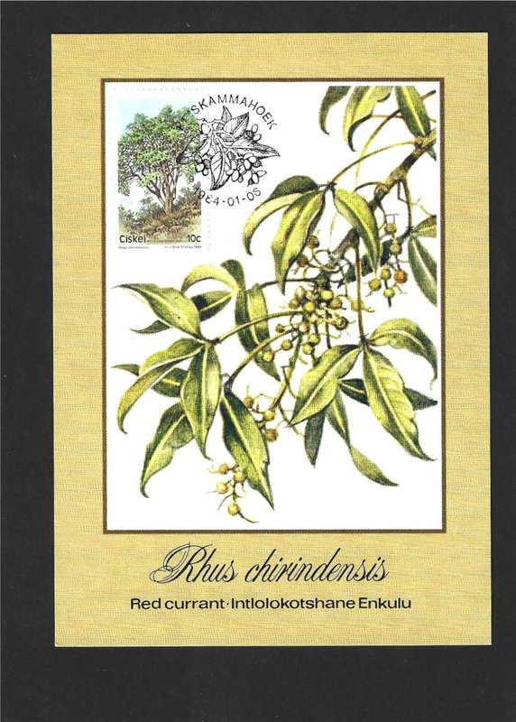 1984 CISKEI TREES