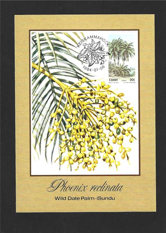 1984 CISKEI TREES