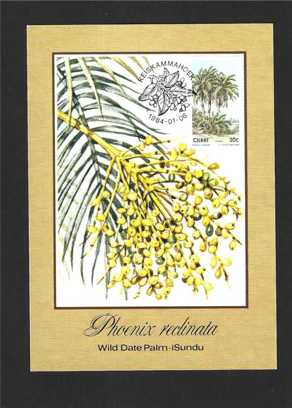 1984 CISKEI TREES