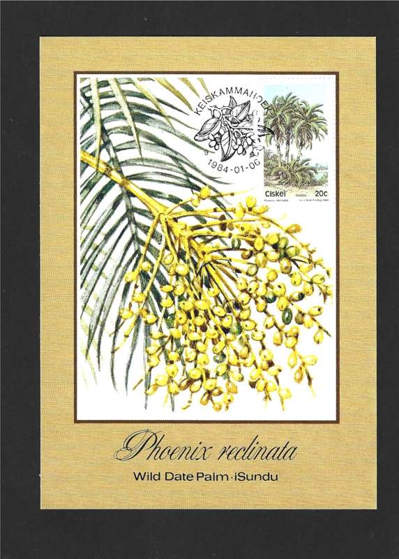 1984 CISKEI TREES
