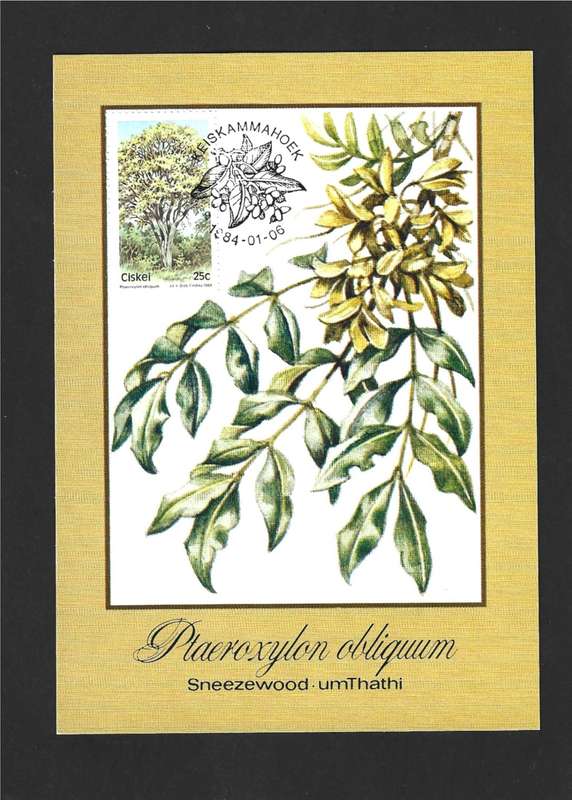1984 CISKEI TREES