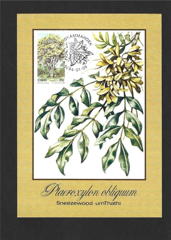 1984 CISKEI TREES